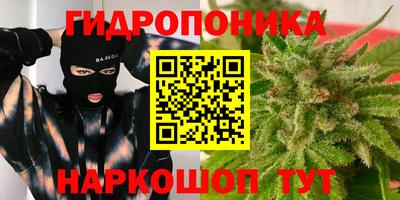 индика Янаул