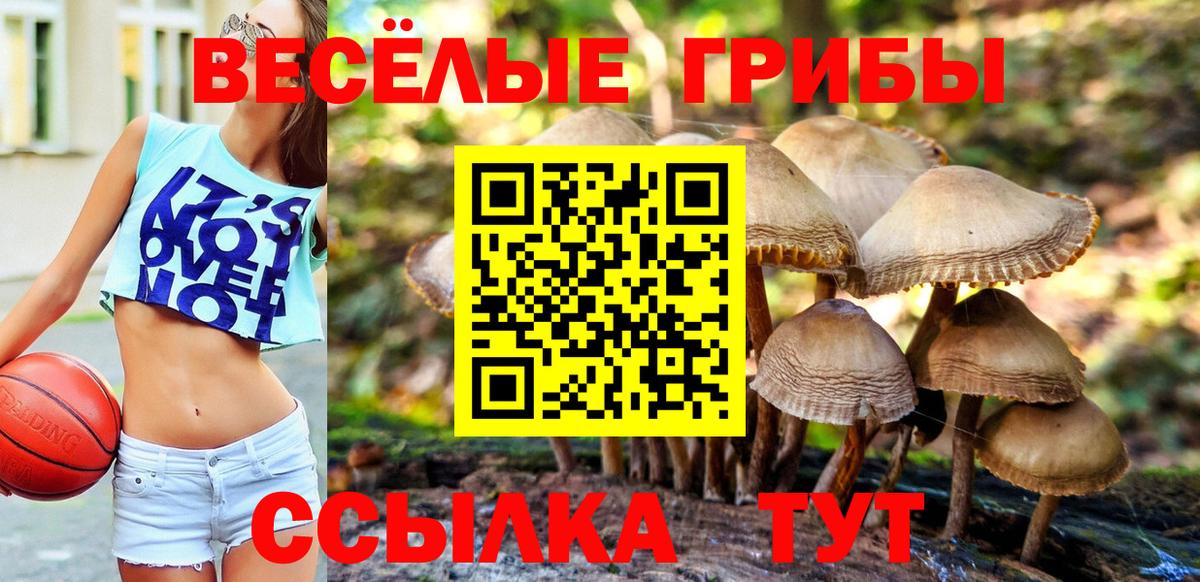 Галлюциногенные грибы ЛСД Канск